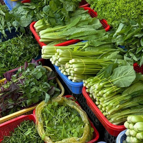 Aromates frais